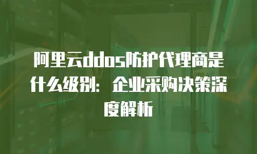 阿里云ddos防护代理商是什么级别：企业采购决策深度解析