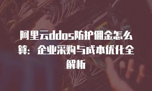 阿里云ddos防护佣金怎么算：企业采购与成本优化全解析