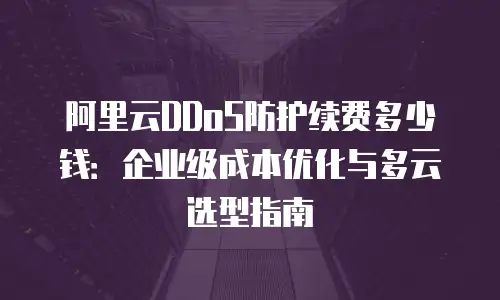 阿里云DDoS防护续费多少钱：企业级成本优化与多云选型指南