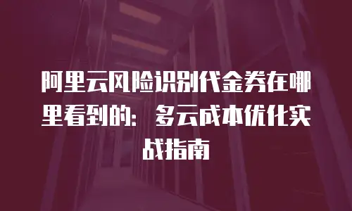阿里云风险识别代金券在哪里看到的：多云成本优化实战指南