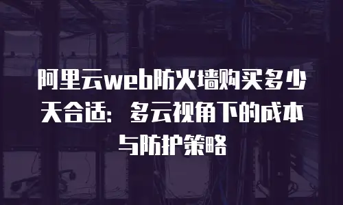 阿里云web防火墙购买多少天合适：多云视角下的成本与防护策略