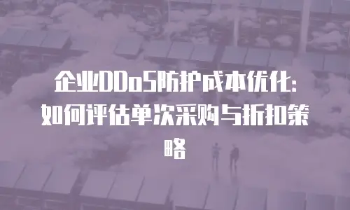 企业DDoS防护成本优化：如何评估单次采购与折扣策略