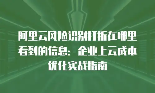 阿里云风险识别打折在哪里看到的信息：企业上云成本优化实战指南