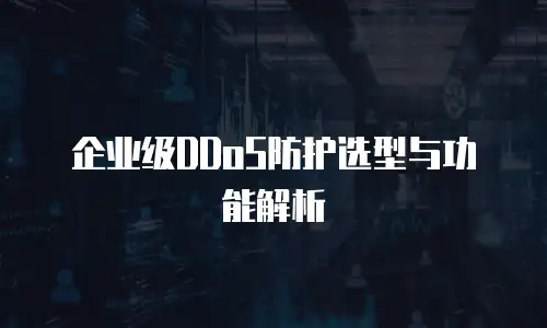 企业级DDoS防护选型与功能解析