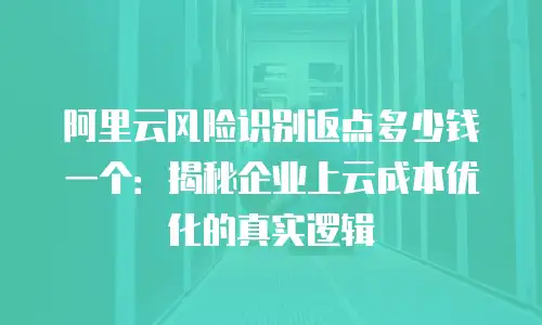 阿里云风险识别返点多少钱一个：揭秘企业上云成本优化的真实逻辑