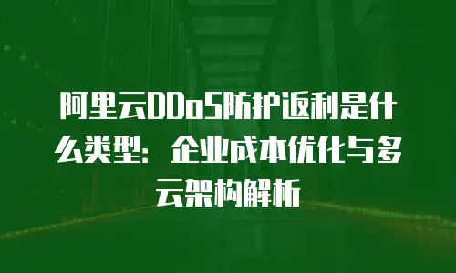 阿里云DDoS防护返利是什么类型：企业成本优化与多云架构解析
