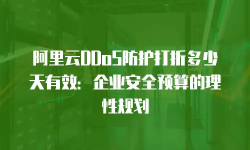 阿里云DDoS防护打折多少天有效：企业安全预算的理性规划