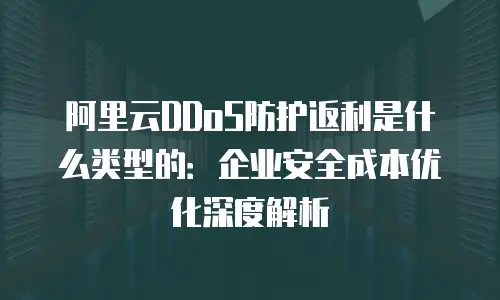 阿里云DDoS防护返利是什么类型的：企业安全成本优化深度解析