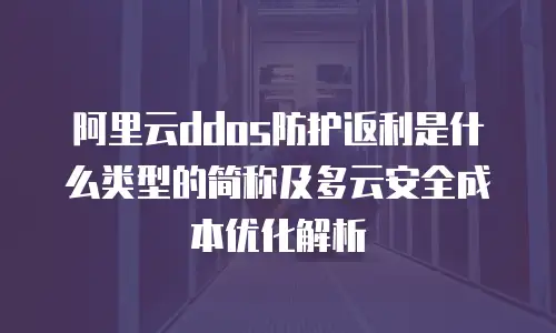 阿里云ddos防护返利是什么类型的简称及多云安全成本优化解析