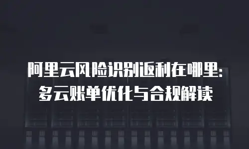 阿里云风险识别返利在哪里：多云账单优化与合规解读
