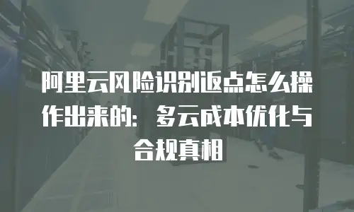 阿里云风险识别返点怎么操作出来的：多云成本优化与合规真相