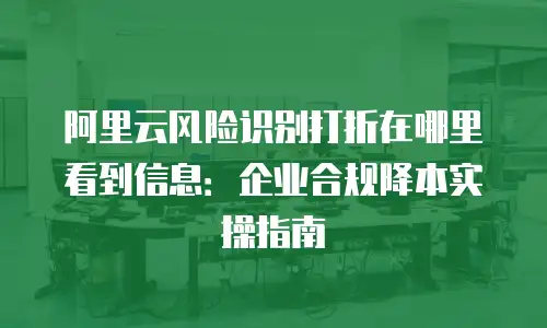 阿里云风险识别打折在哪里看到信息：企业合规降本实操指南