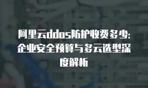 阿里云ddos防护收费多少：企业安全预算与多云选型深度解析