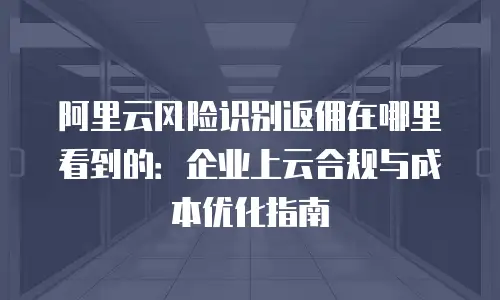 阿里云风险识别返佣在哪里看到的：企业上云合规与成本优化指南