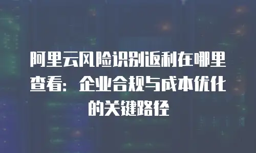 阿里云风险识别返利在哪里查看：企业合规与成本优化的关键路径