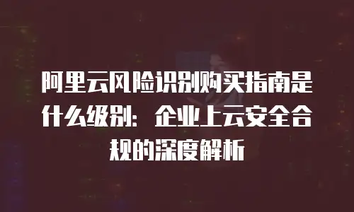 阿里云风险识别购买指南是什么级别：企业上云安全合规的深度解析