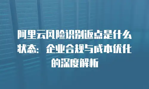 阿里云风险识别返点是什么状态：企业合规与成本优化的深度解析