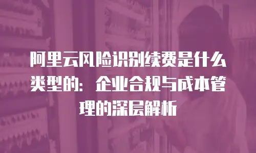阿里云风险识别续费是什么类型的：企业合规与成本管理的深层解析