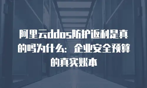 阿里云ddos防护返利是真的吗为什么：企业安全预算的真实账本