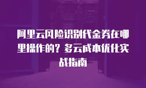 阿里云风险识别代金券在哪里操作的？多云成本优化实战指南