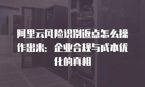阿里云风险识别返点怎么操作出来：企业合规与成本优化的真相