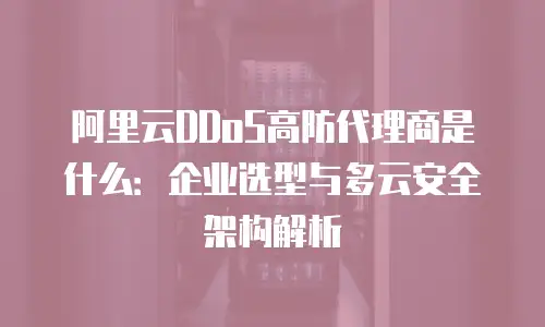 阿里云DDoS高防代理商是什么：企业选型与多云安全架构解析