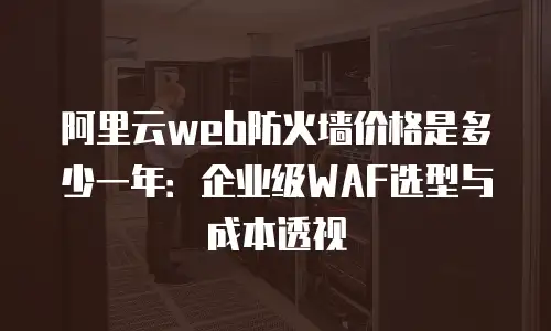 阿里云web防火墙价格是多少一年：企业级WAF选型与成本透视