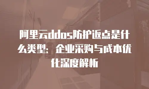 阿里云ddos防护返点是什么类型：企业采购与成本优化深度解析