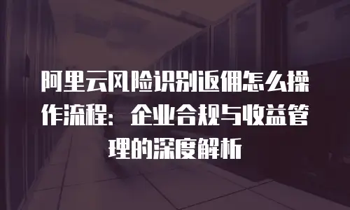 阿里云风险识别返佣怎么操作流程：企业合规与收益管理的深度解析