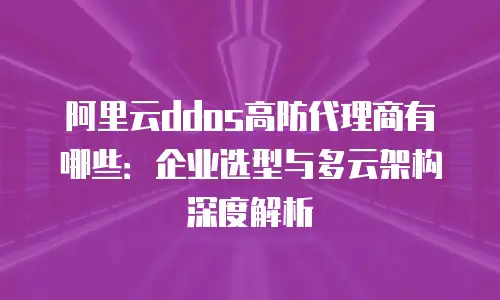 阿里云ddos高防代理商有哪些：企业选型与多云架构深度解析