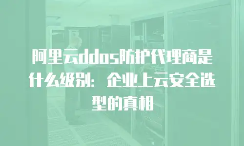 阿里云ddos防护代理商是什么级别：企业上云安全选型的真相