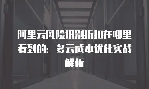 阿里云风险识别折扣在哪里看到的：多云成本优化实战解析