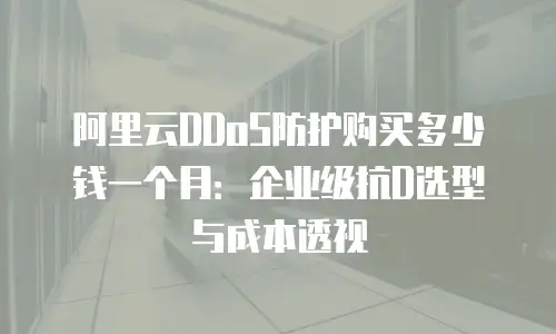 阿里云DDoS防护购买多少钱一个月：企业级抗D选型与成本透视