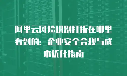 阿里云风险识别打折在哪里看到的：企业安全合规与成本优化指南