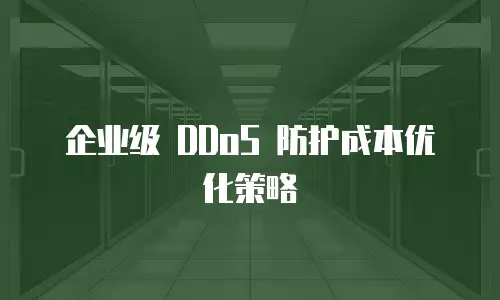 企业级 DDoS 防护成本优化策略