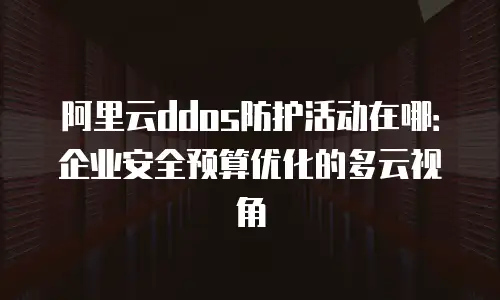 阿里云ddos防护活动在哪：企业安全预算优化的多云视角