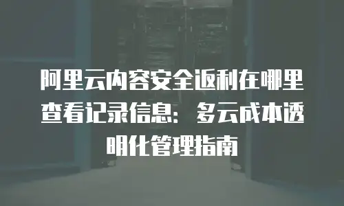 阿里云内容安全返利在哪里查看记录信息：多云成本透明化管理指南