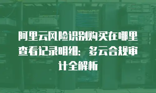 阿里云风险识别购买在哪里查看记录明细：多云合规审计全解析