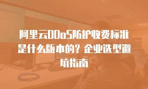 阿里云DDoS防护收费标准是什么版本的？企业选型避坑指南
