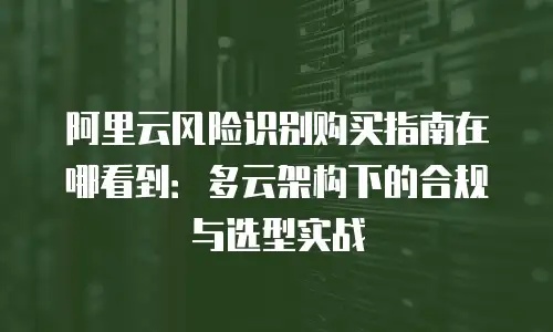 阿里云风险识别购买指南在哪看到：多云架构下的合规与选型实战