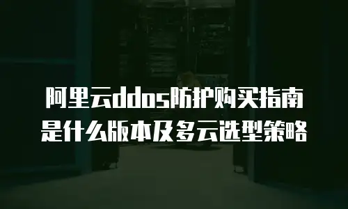 阿里云ddos防护购买指南是什么版本及多云选型策略