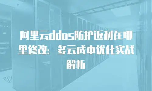 阿里云ddos防护返利在哪里修改：多云成本优化实战解析