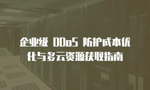 企业级 DDoS 防护成本优化与多云资源获取指南