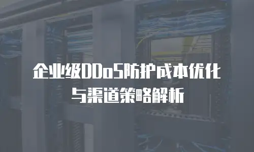 企业级DDoS防护成本优化与渠道策略解析