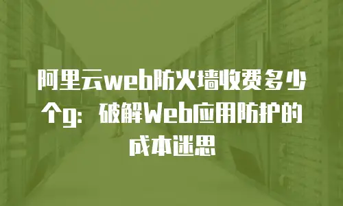 阿里云web防火墙收费多少个g：破解Web应用防护的成本迷思
