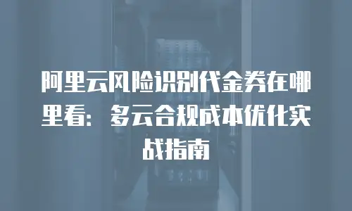 阿里云风险识别代金券在哪里看：多云合规成本优化实战指南