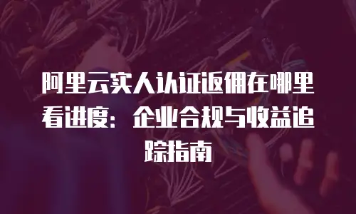 阿里云实人认证返佣在哪里看进度：企业合规与收益追踪指南