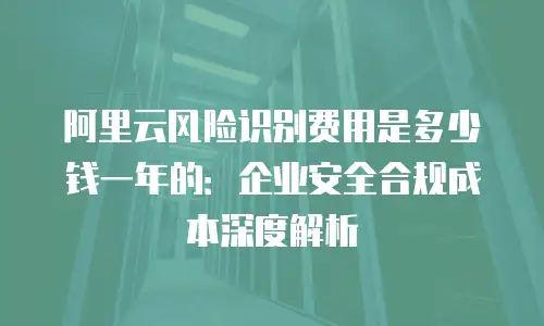 阿里云风险识别费用是多少钱一年的：企业安全合规成本深度解析