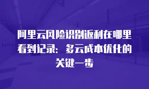 阿里云风险识别返利在哪里看到记录：多云成本优化的关键一步