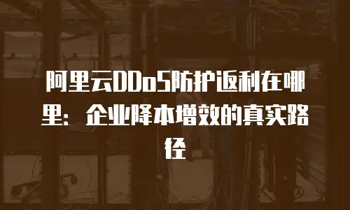 阿里云DDoS防护返利在哪里：企业降本增效的真实路径